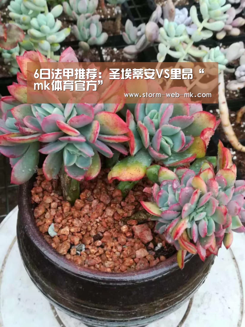6日法甲推荐:圣埃蒂安VS里昂“mk体育官方”(图1) mk体育在线